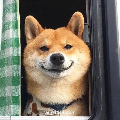 Avatar do jogador Advait